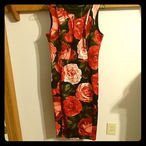 Lovely rose dress, 6